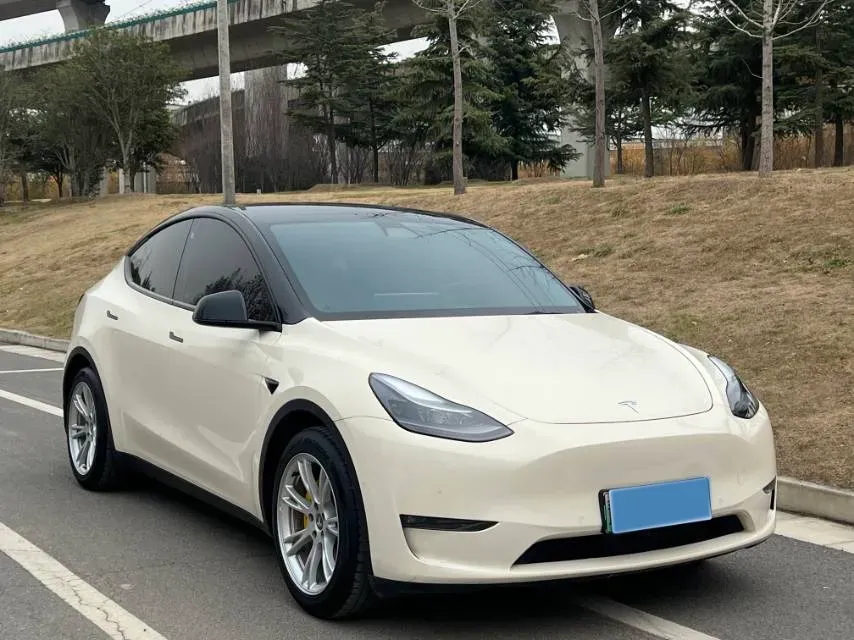 2021 Tesla Model Y BEV 60KWH,autocango,china used car exporter,china ev exporter,chinese used car exporter,chinese used ev exporter