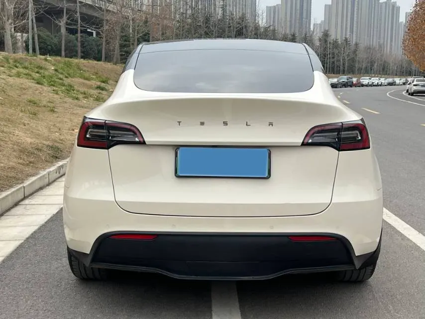 2021 Tesla Model Y BEV 60KWH,autocango,china used car exporter,china ev exporter,chinese used car exporter,chinese used ev exporter