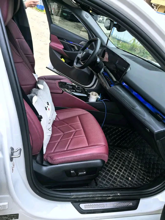 2024 BMW 5 Series 2.0T 258HP L4 8AT,autocango,china used car exporter,china ev exporter,chinese used car exporter,chinese used ev exporter