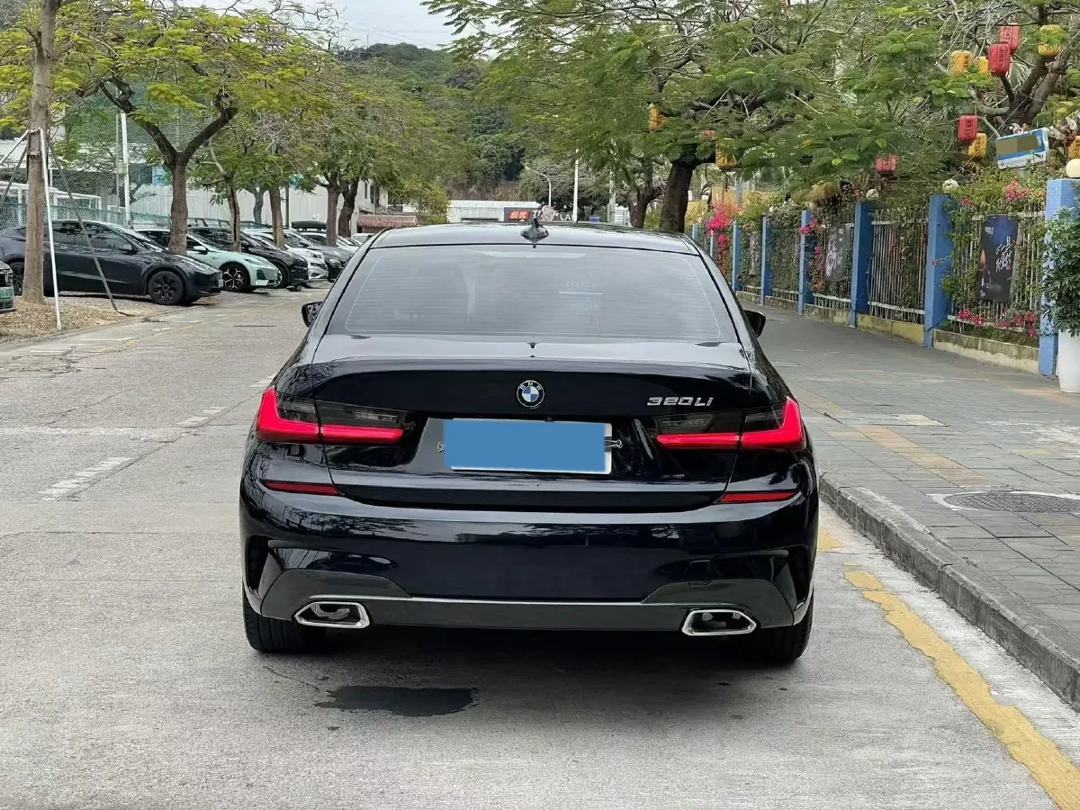 2021 BMW 3 Series 2.0T 156HP L4 8AT,autocango,china used car exporter,china ev exporter,chinese used car exporter,chinese used ev exporter