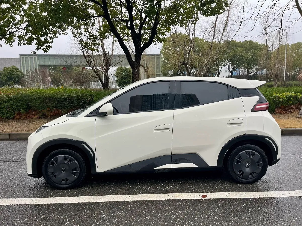 2023 BYD Seagull BEV 30.08KWH,autocango,china used car exporter,china ev exporter,chinese used car exporter,chinese used ev exporter