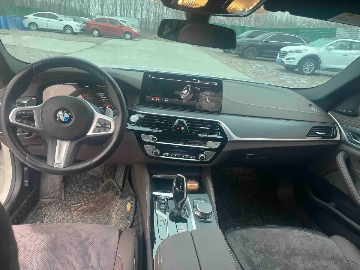 2021 BMW 5 Series 2.0T 252HP L4 8AT,autocango,china used car exporter,china ev exporter,chinese used car exporter,chinese used ev exporter