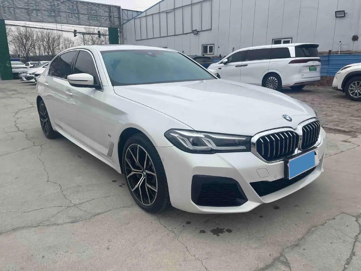 2021 BMW 5 Series 2.0T 252HP L4 8AT,autocango,china used car exporter,china ev exporter,chinese used car exporter,chinese used ev exporter