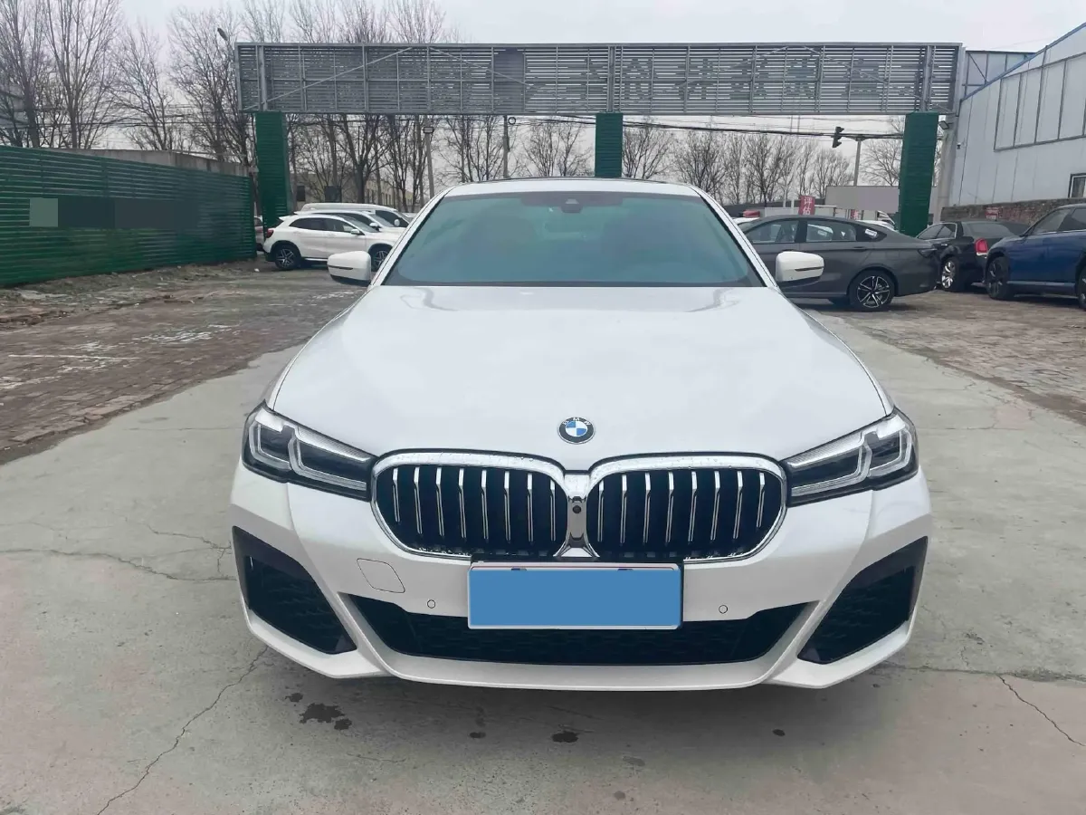 2021 BMW 5 Series 2.0T 252HP L4 8AT,autocango,china used car exporter,china ev exporter,chinese used car exporter,chinese used ev exporter