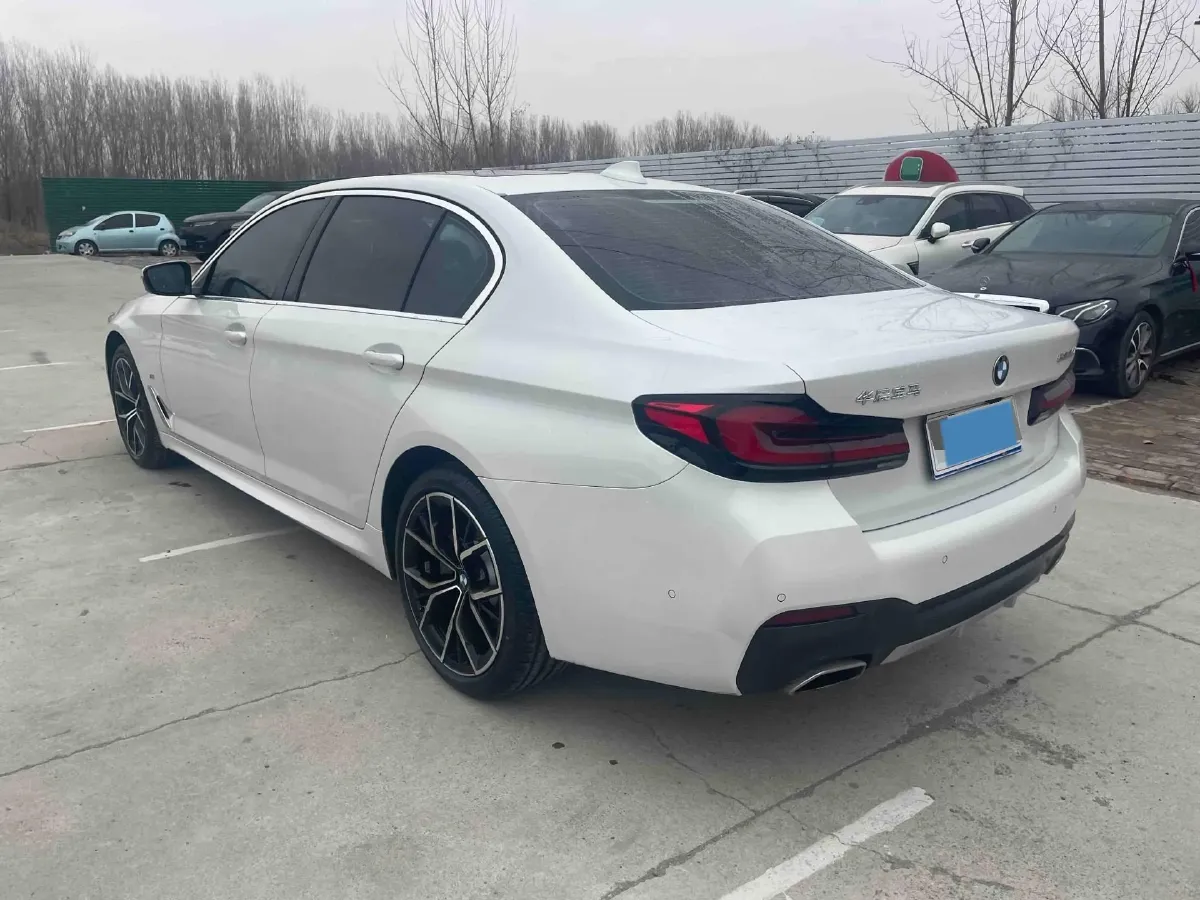 2021 BMW 5 Series 2.0T 252HP L4 8AT,autocango,china used car exporter,china ev exporter,chinese used car exporter,chinese used ev exporter