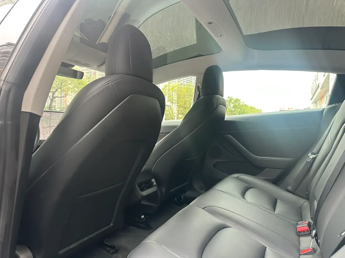 2021 Tesla Model 3 BEV 55KWH,autocango,china used car exporter,china ev exporter,chinese used car exporter,chinese used ev exporter