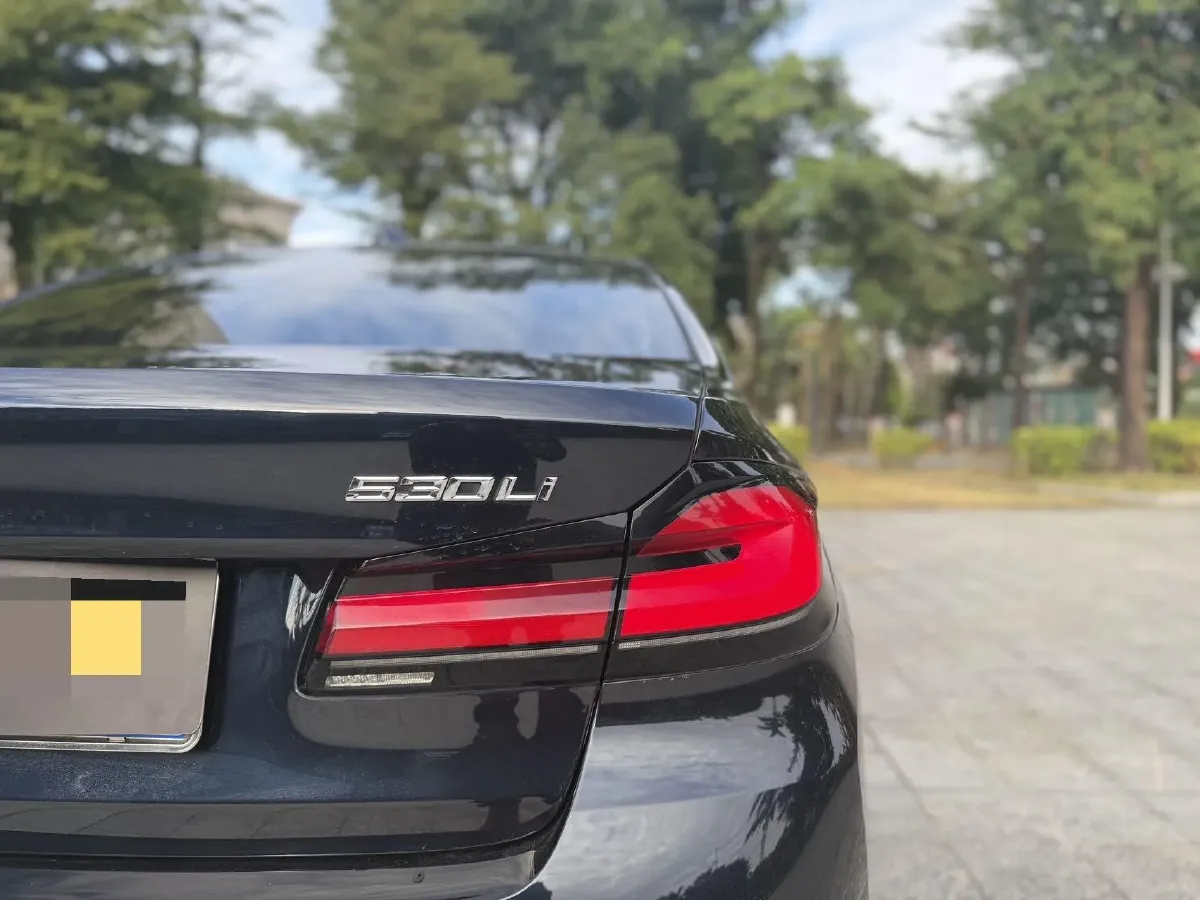 2022 BMW 5 Series 2.0T 252HP L4 8AT,autocango,china used car exporter,china ev exporter,chinese used car exporter,chinese used ev exporter