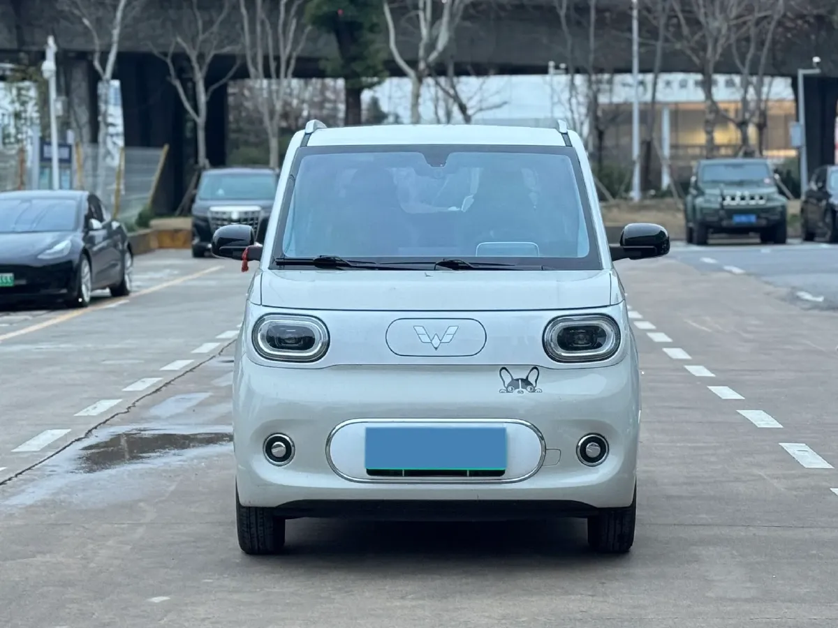 2024 WuLing HongGuang MINI EV BEV 17.3KWH,autocango,china used car exporter,china ev exporter,chinese used car exporter,chinese used ev exporter