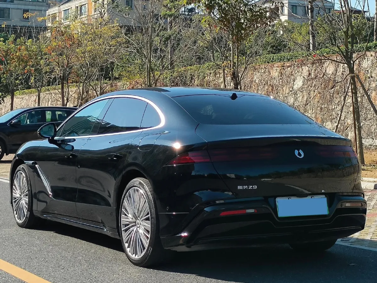 2024 Denza DenzaZ9 2.0T 207HP L4 E-CVT PHEV 38.5KWH,autocango,china used car exporter,china ev exporter,chinese used car exporter,chinese used ev exporter