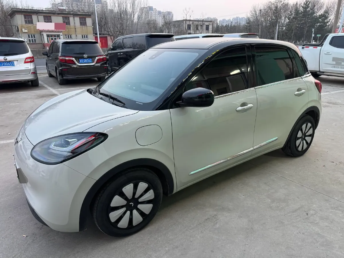 2023 WuLing BinGuo BEV 31.9KWH,autocango,china used car exporter,china ev exporter,chinese used car exporter,chinese used ev exporter