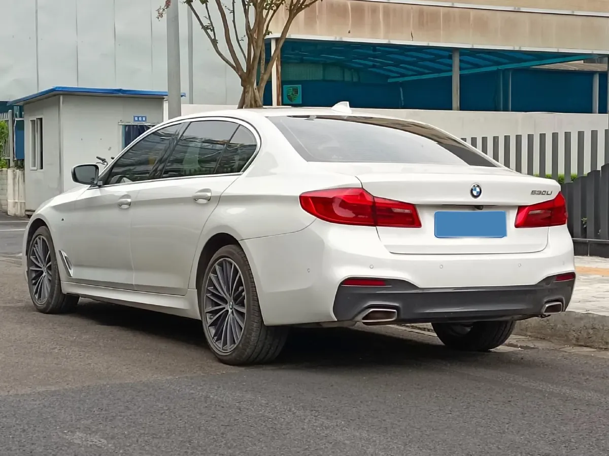 2021 BMW 5 Series 2.0T 252HP L4 8AT,autocango,china used car exporter,china ev exporter,chinese used car exporter,chinese used ev exporter