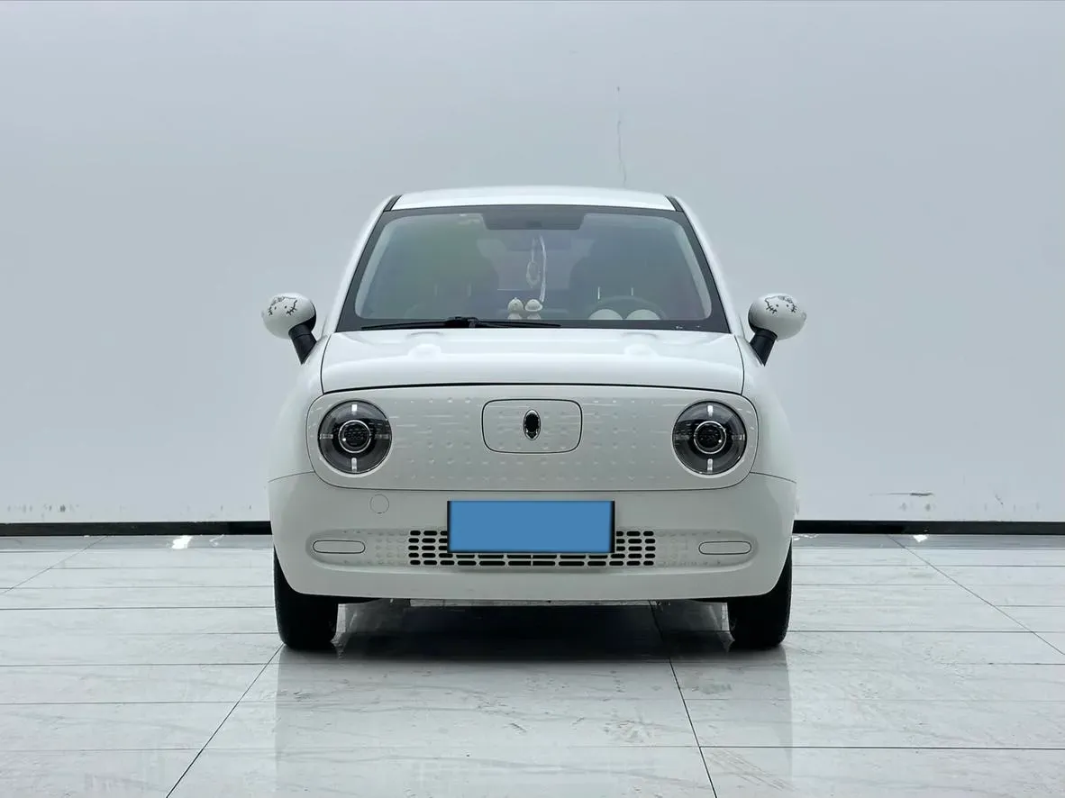 2019 Ora BlackCat BEV 33KWH,autocango,china used car exporter,china ev exporter,chinese used car exporter,chinese used ev exporter