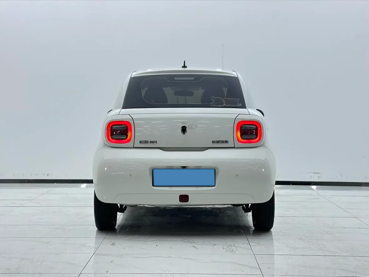 2019 Ora BlackCat BEV 33KWH,autocango,china used car exporter,china ev exporter,chinese used car exporter,chinese used ev exporter