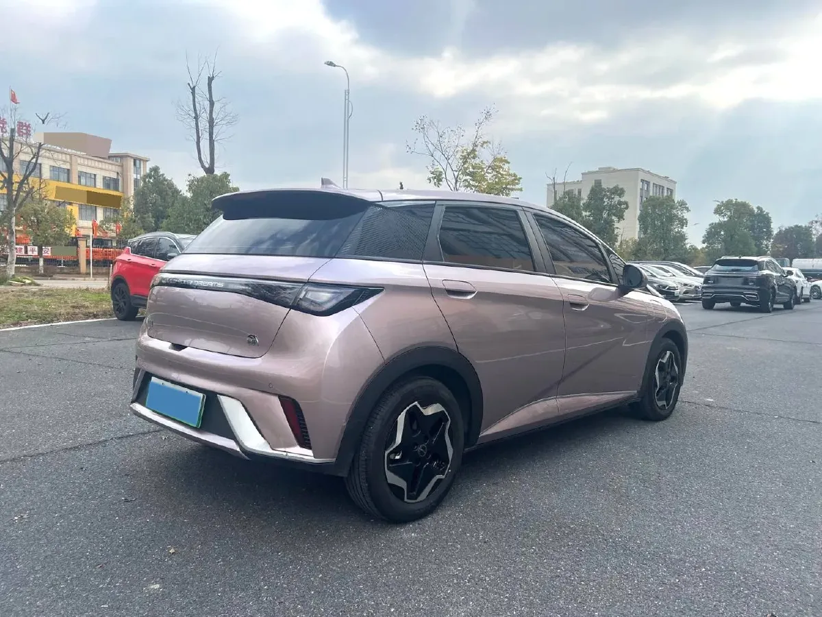 2021 BYD Dolphin BEV 44.9KWH,autocango,china used car exporter,china ev exporter,chinese used car exporter,chinese used ev exporter