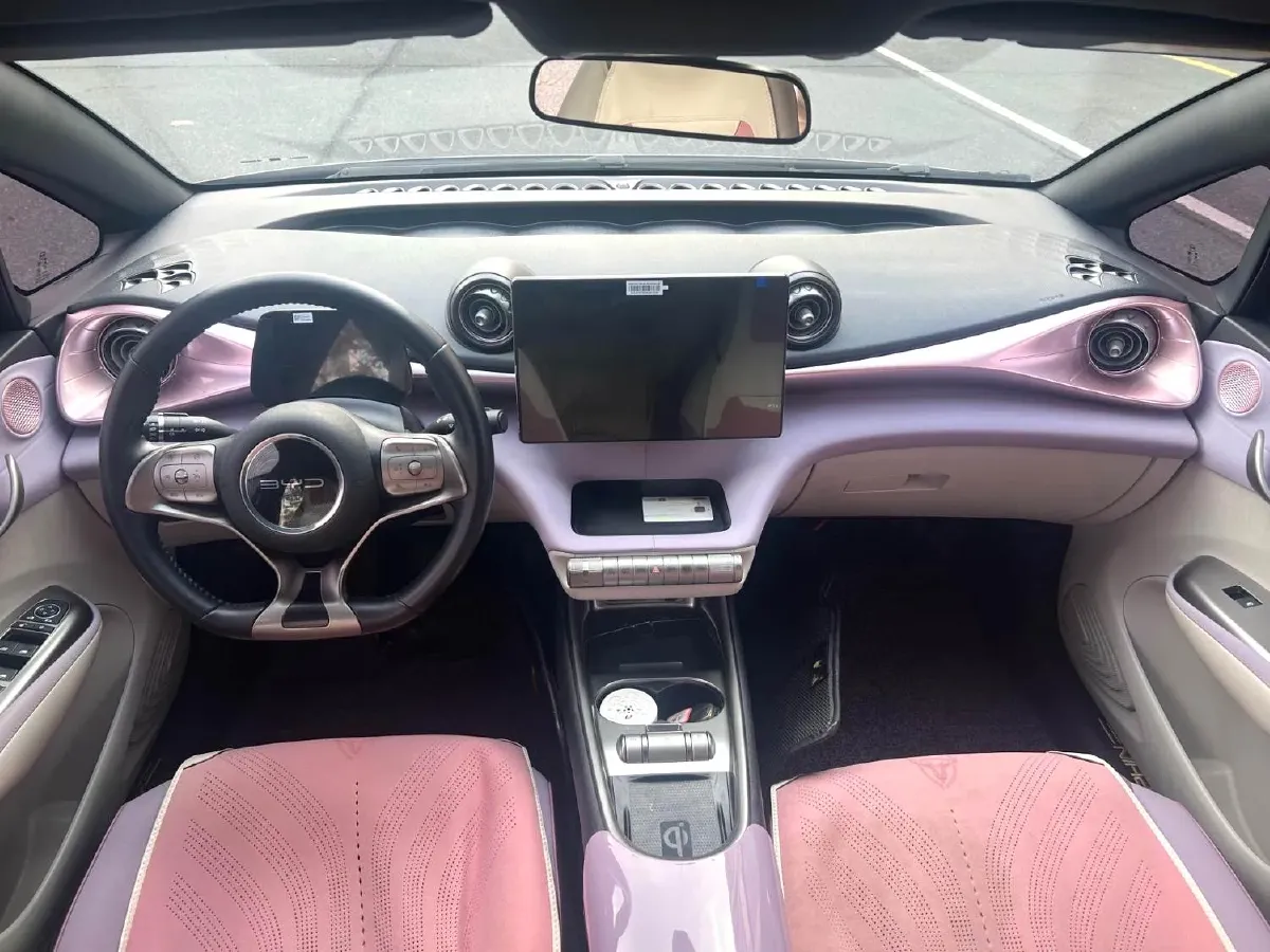 2021 BYD Dolphin BEV 44.9KWH,autocango,china used car exporter,china ev exporter,chinese used car exporter,chinese used ev exporter