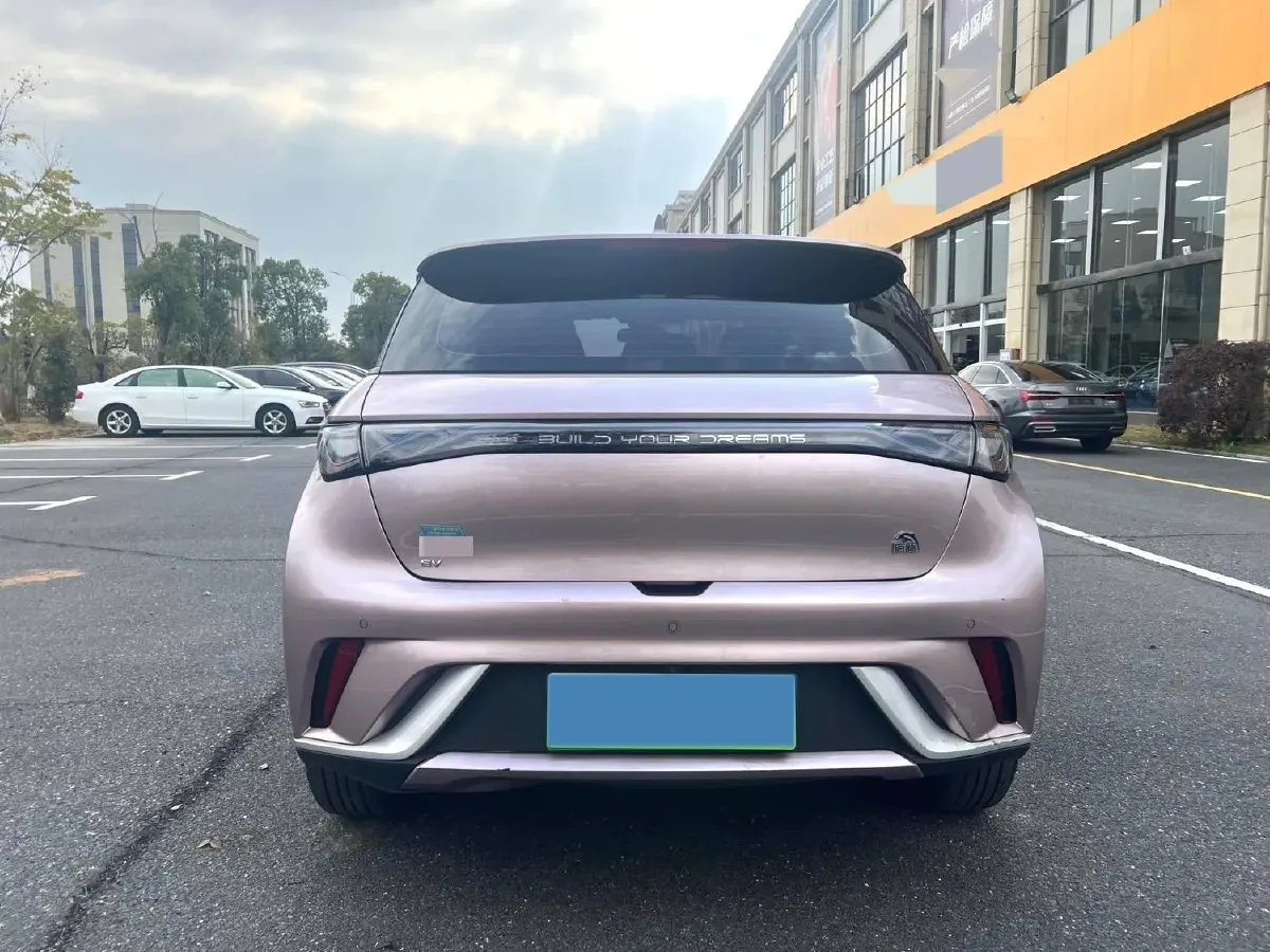 2021 BYD Dolphin BEV 44.9KWH,autocango,china used car exporter,china ev exporter,chinese used car exporter,chinese used ev exporter