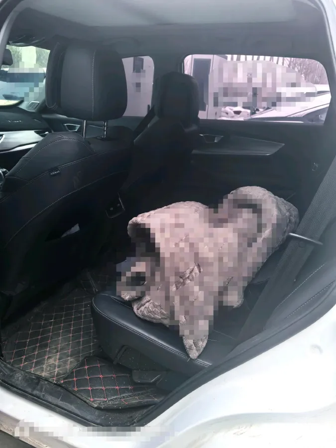 2021 Chery Tiggo 8 1.6T 197HP L4 7DCT,autocango,china used car exporter,china ev exporter,chinese used car exporter,chinese used ev exporter