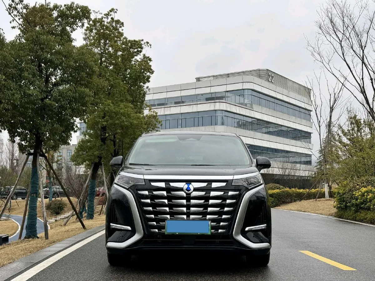 2024 Denza D9 1.5T 139HP L4 E-CVT PHEV 40KWH,autocango,china used car exporter,china ev exporter,chinese used car exporter,chinese used ev exporter