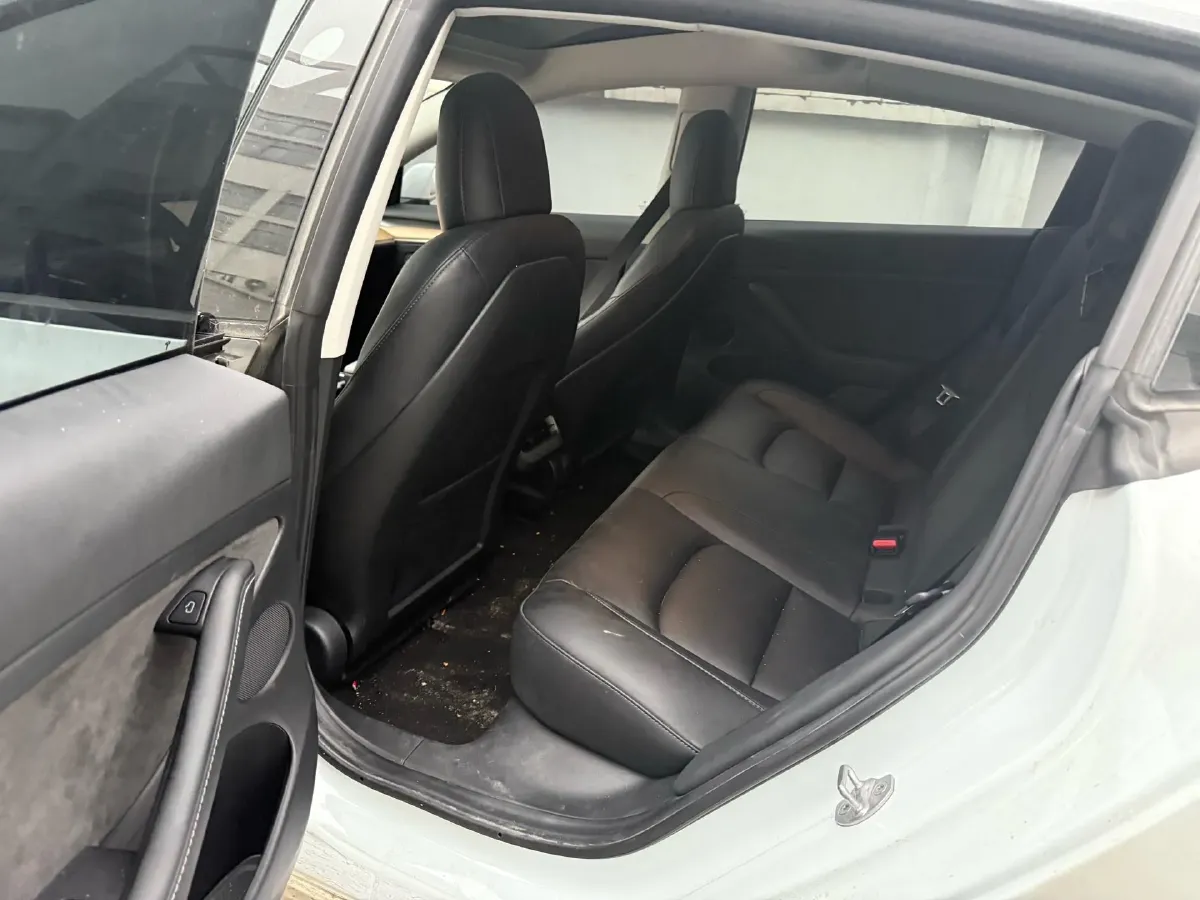 2021 Tesla Model 3 BEV 55KWH,autocango,china used car exporter,china ev exporter,chinese used car exporter,chinese used ev exporter