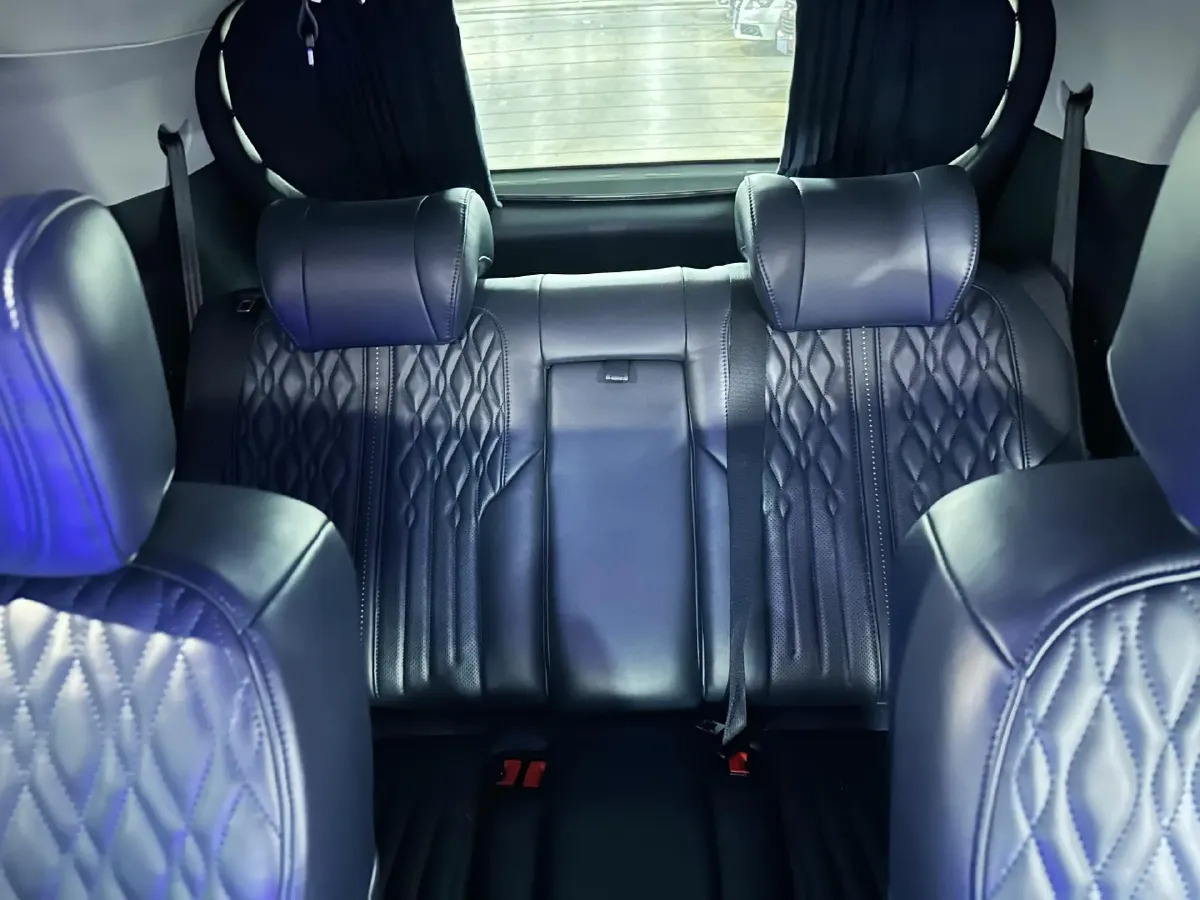 2021 GAC Trumpchi M8 2.0T 252HP L4 8AT,autocango,china used car exporter,china ev exporter,chinese used car exporter,chinese used ev exporter