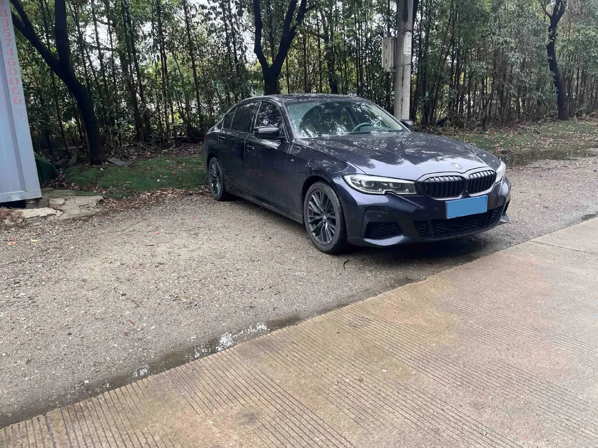 2020 BMW 3 Series 2.0T 184HP L4 8AT,autocango,china used car exporter,china ev exporter,chinese used car exporter,chinese used ev exporter