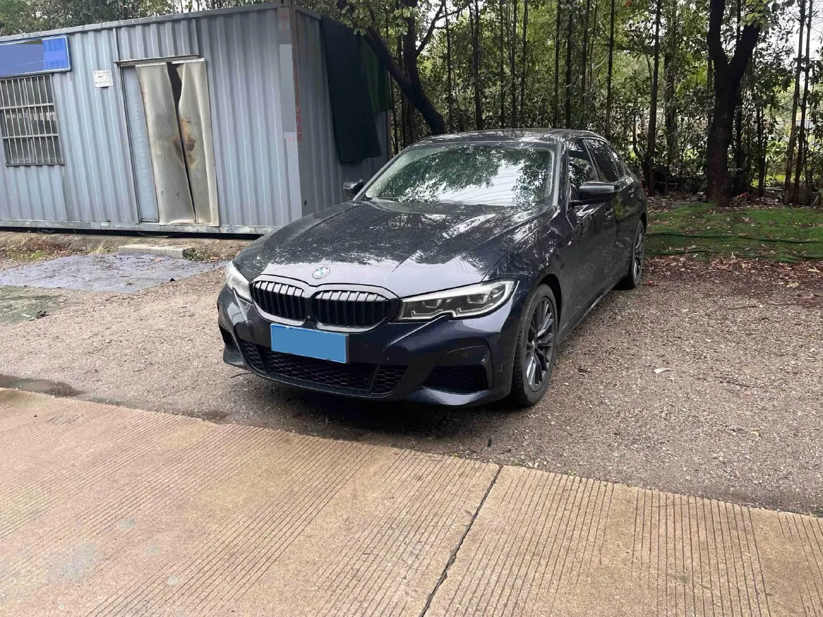 2020 BMW 3 Series 2.0T 184HP L4 8AT,autocango,china used car exporter,china ev exporter,chinese used car exporter,chinese used ev exporter
