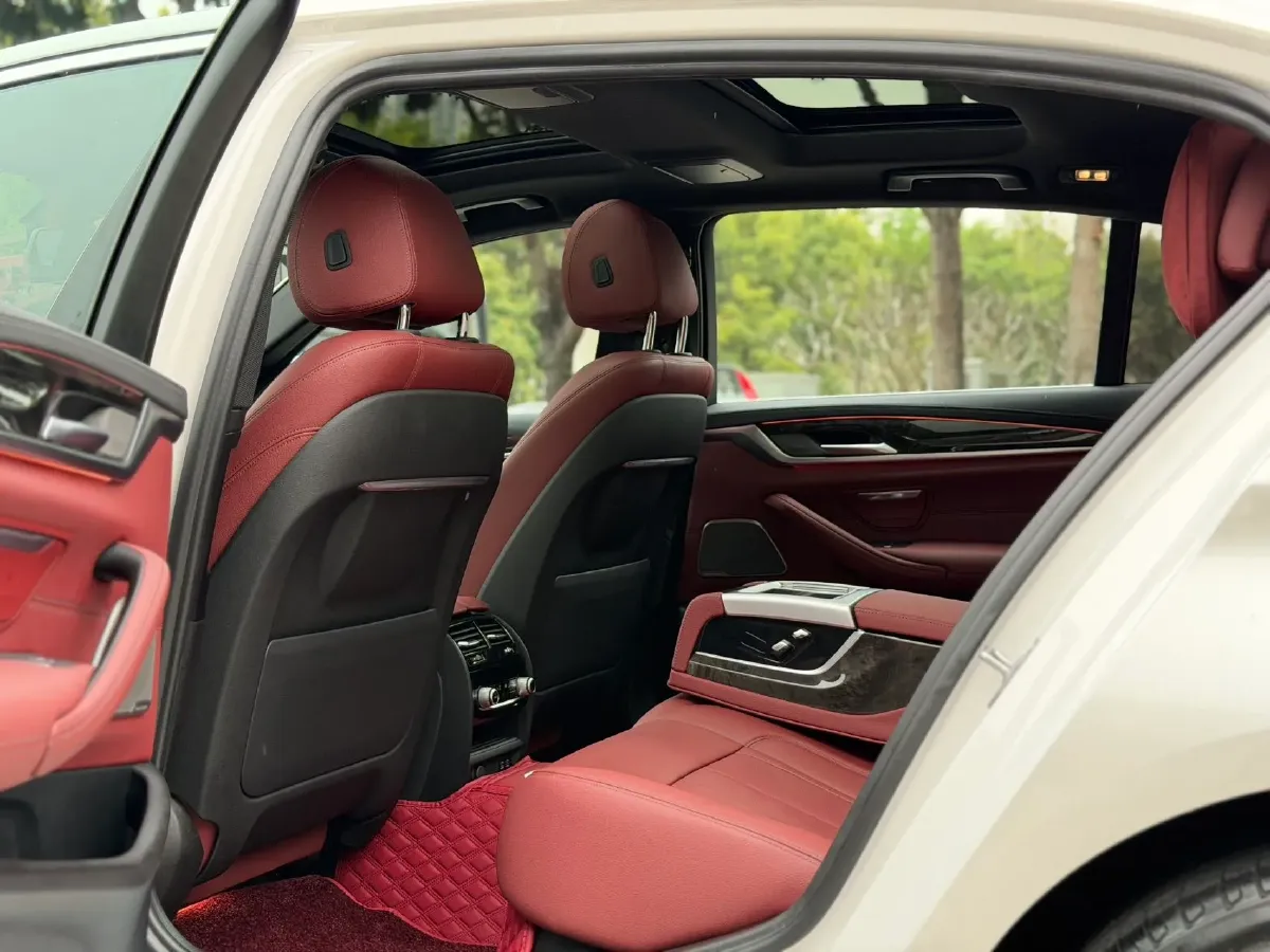 2020 BMW 5 Series 2.0T 252HP L4 8AT,autocango,china used car exporter,china ev exporter,chinese used car exporter,chinese used ev exporter