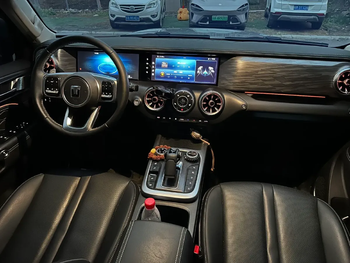 2024 Tank 300 2.0T 227HP L4 8AT,autocango,china used car exporter,china ev exporter,chinese used car exporter,chinese used ev exporter