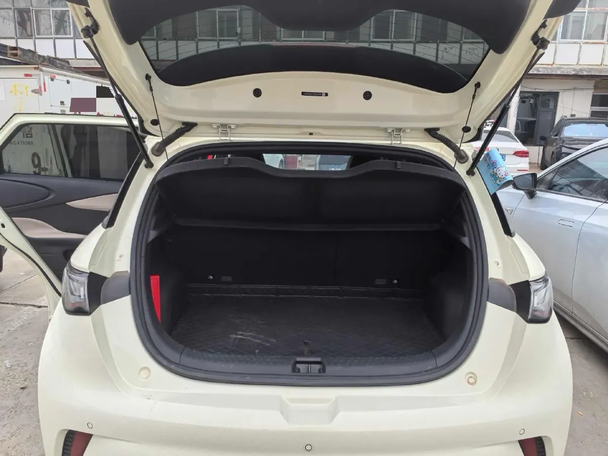 2025 BYD Dolphin BEV 44.928KWH,autocango,china used car exporter,china ev exporter,chinese used car exporter,chinese used ev exporter