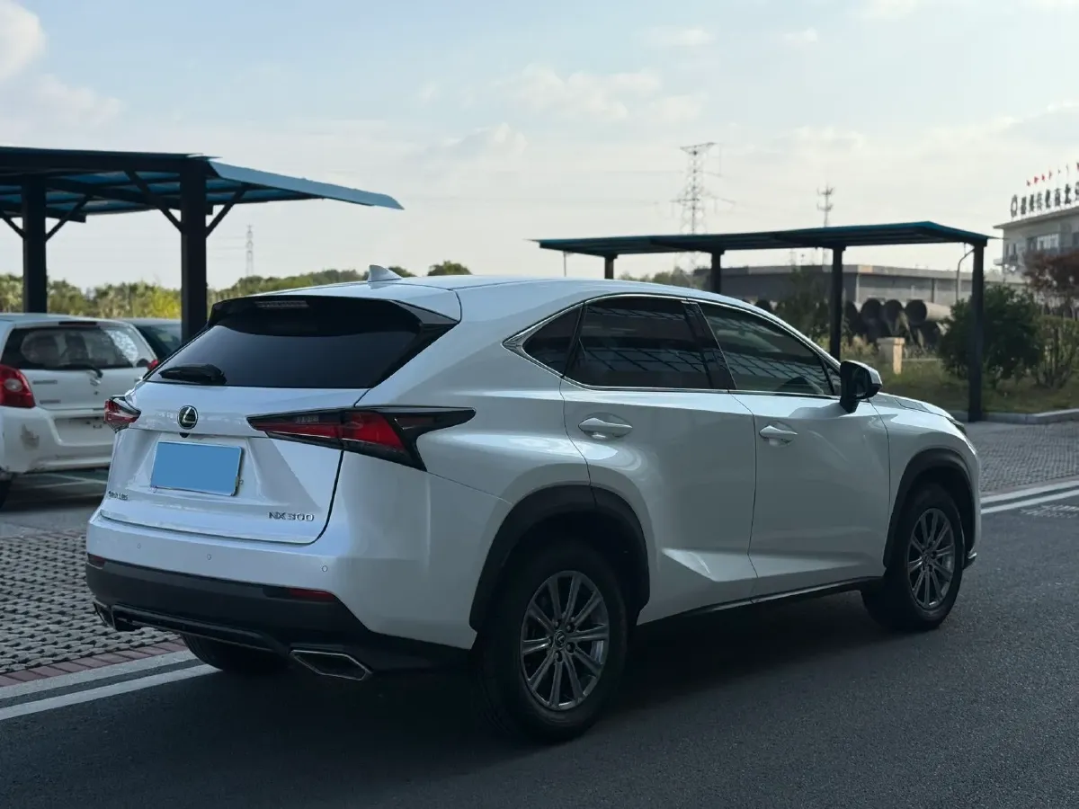2018 Lexus NX 2.0T 238HP L4 6AT,autocango,china used car exporter,china ev exporter,chinese used car exporter,chinese used ev exporter