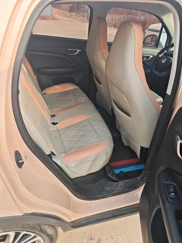 2022 Leapmotor T03 BEV 31.9KWH,autocango,china used car exporter,china ev exporter,chinese used car exporter,chinese used ev exporter