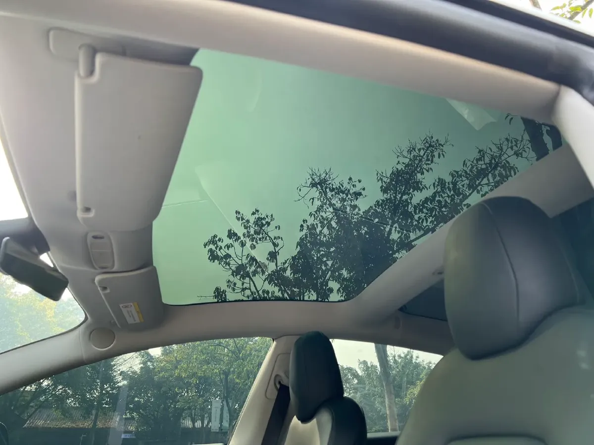 2020 Tesla Model 3 BEV 52KWH,autocango,china used car exporter,china ev exporter,chinese used car exporter,chinese used ev exporter