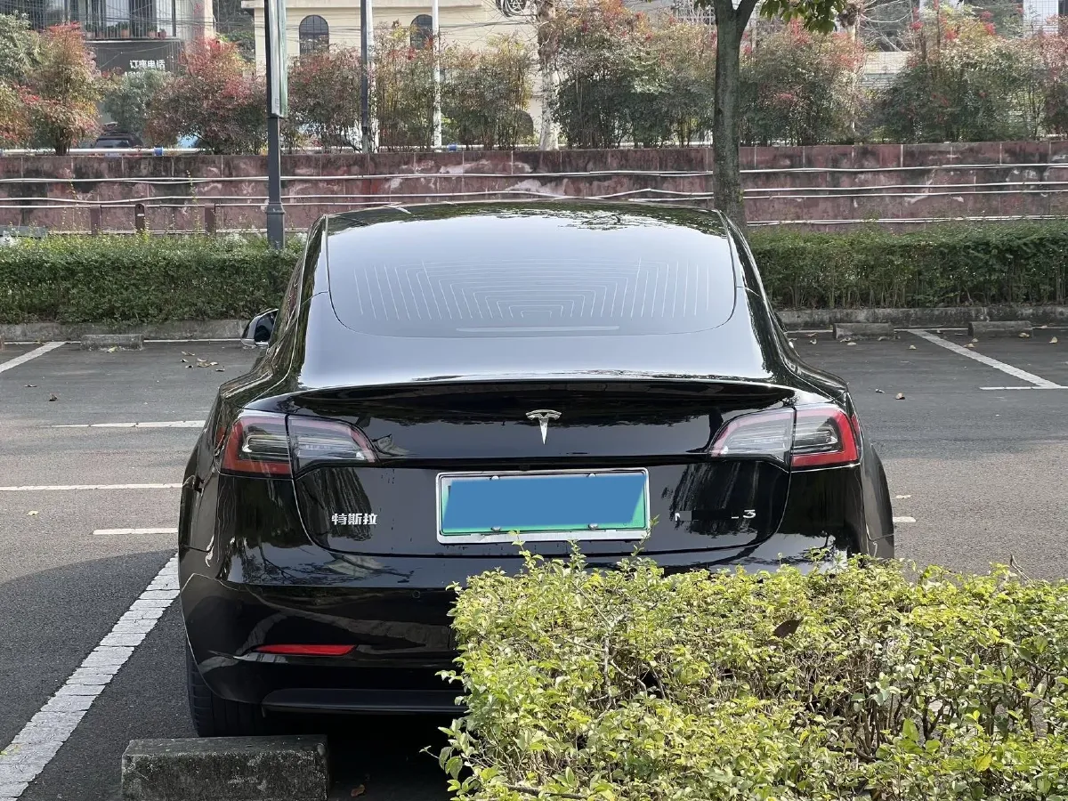 2020 Tesla Model 3 BEV 52KWH,autocango,china used car exporter,china ev exporter,chinese used car exporter,chinese used ev exporter