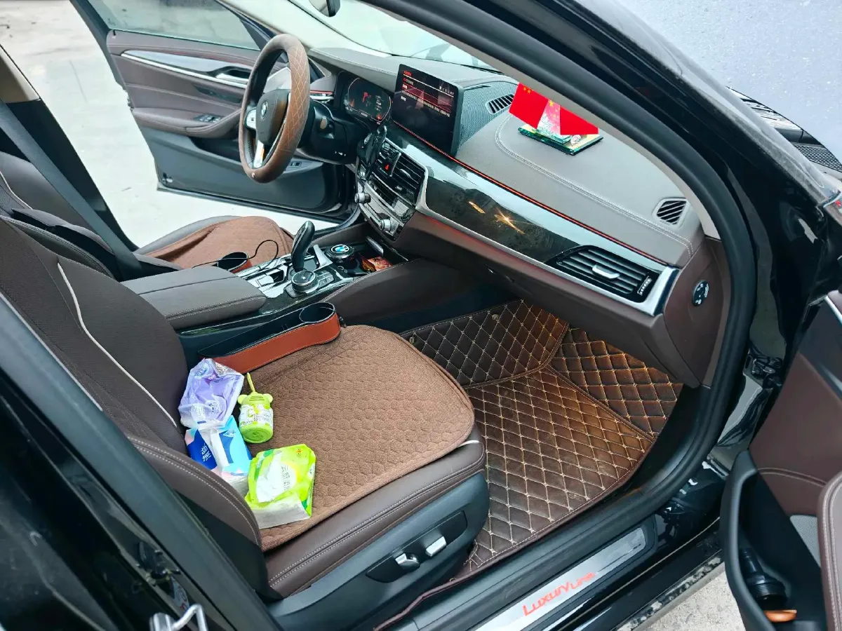 2022 BMW 5 Series 2.0T 184HP L4 8AT,autocango,china used car exporter,china ev exporter,chinese used car exporter,chinese used ev exporter