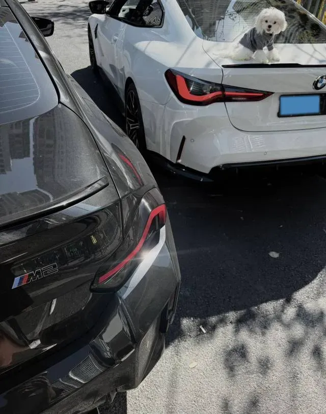 2023 BMW M4 3.0T 510HP L6 8AT,autocango,china used car exporter,china ev exporter,chinese used car exporter,chinese used ev exporter