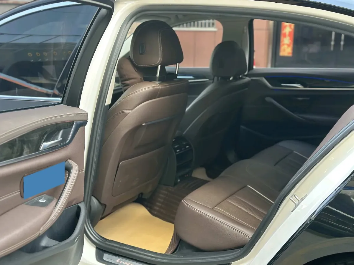 2021 BMW 5 Series 2.0T 184HP L4 8AT,autocango,china used car exporter,china ev exporter,chinese used car exporter,chinese used ev exporter