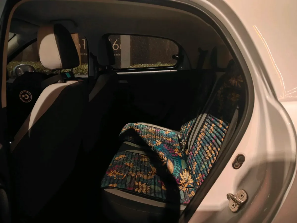 2019 Ora BlackCat BEV 28.5KWH,autocango,china used car exporter,china ev exporter,chinese used car exporter,chinese used ev exporter