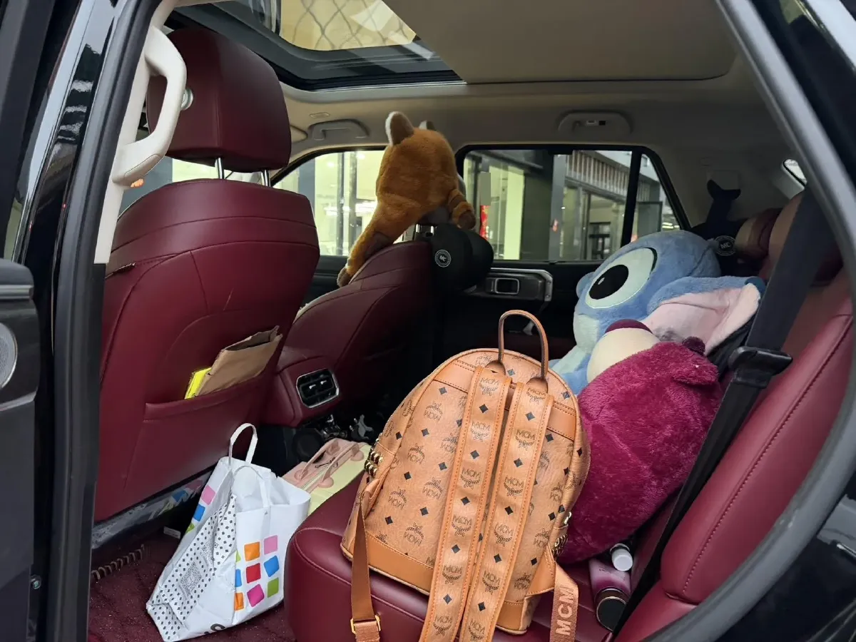 2024 Tank 400 2.0T 252HP L4 9AT PHEV 36.7/37.1KWH,autocango,china used car exporter,china ev exporter,chinese used car exporter,chinese used ev exporter