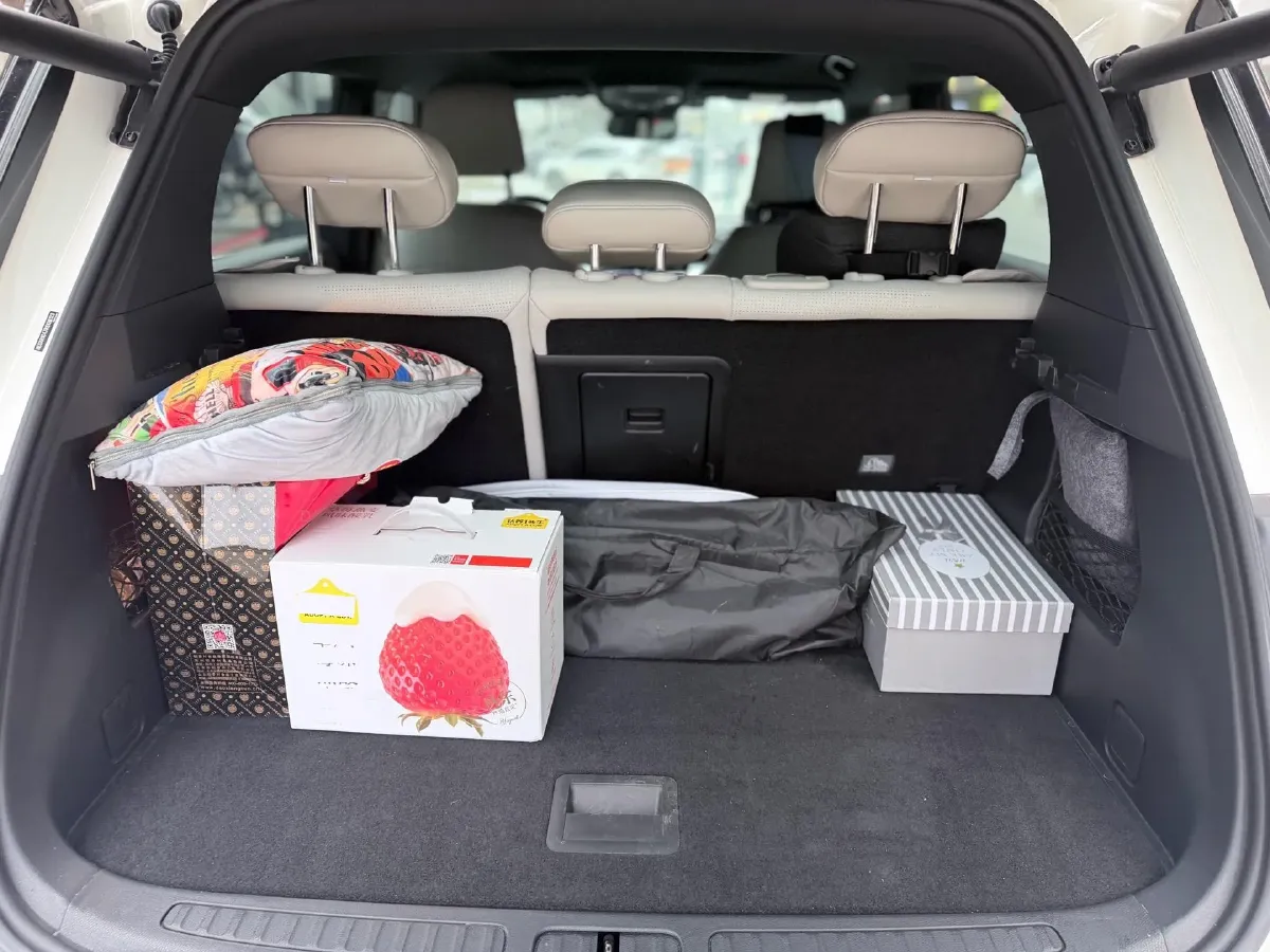 2024 Smart smart Elf 1 BEV 49KWH,autocango,china used car exporter,china ev exporter,chinese used car exporter,chinese used ev exporter