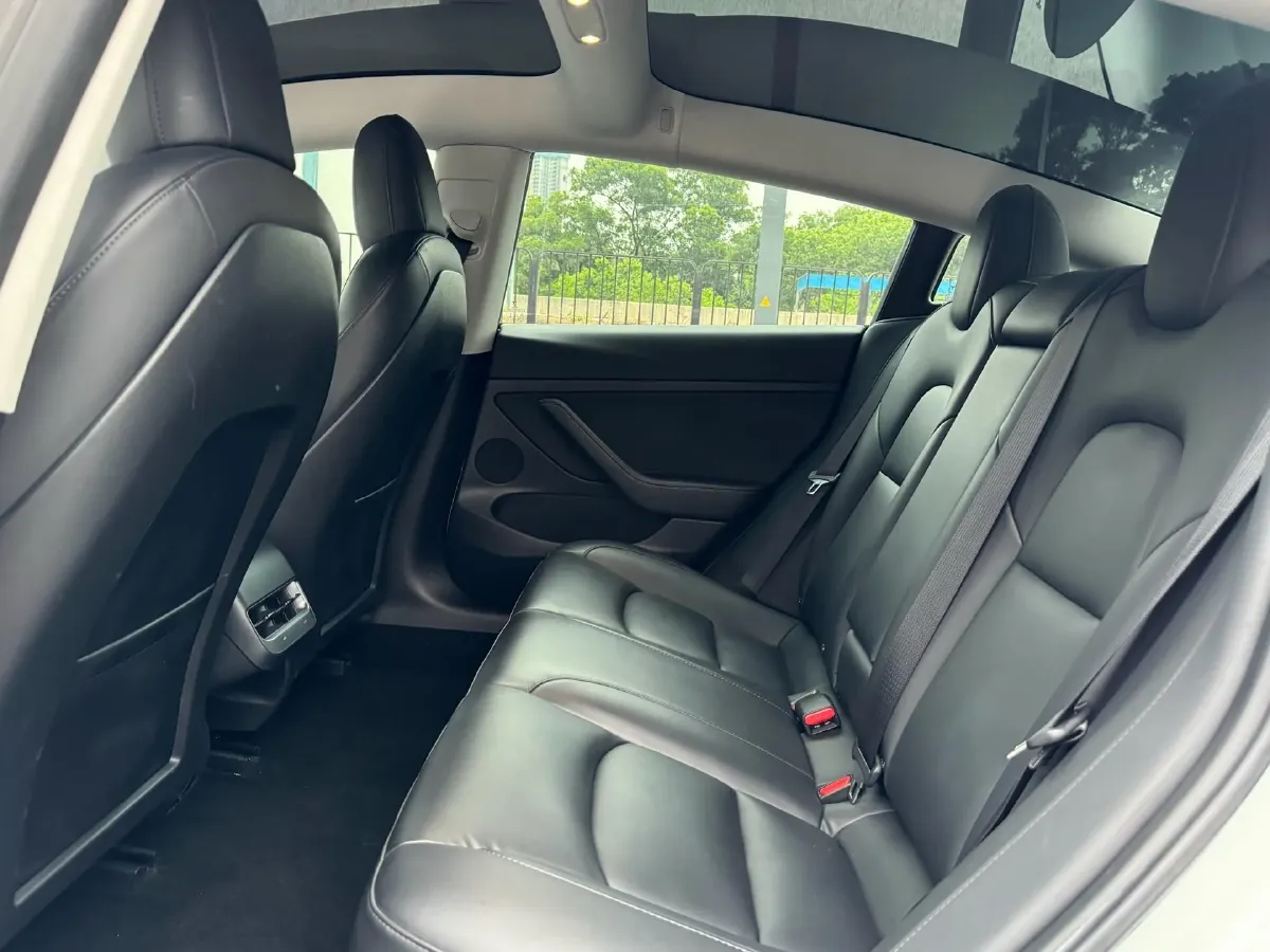 2021 Tesla Model 3 BEV 55KWH,autocango,china used car exporter,china ev exporter,chinese used car exporter,chinese used ev exporter