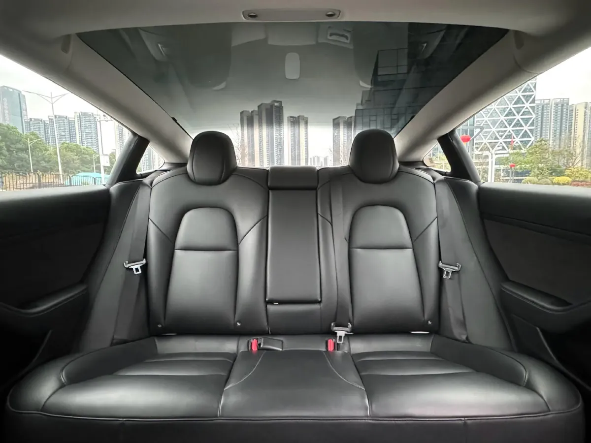 2021 Tesla Model 3 BEV 55KWH,autocango,china used car exporter,china ev exporter,chinese used car exporter,chinese used ev exporter