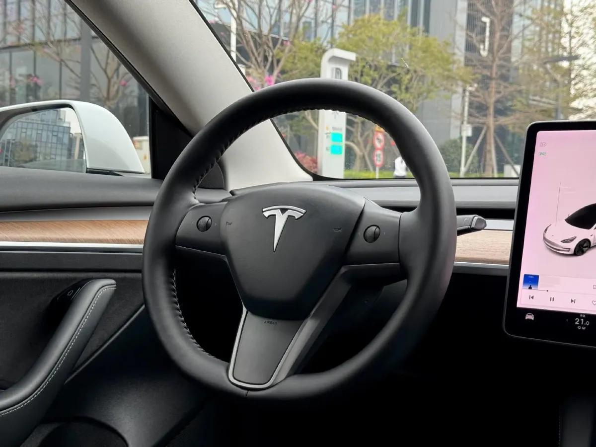 2021 Tesla Model 3 BEV 55KWH,autocango,china used car exporter,china ev exporter,chinese used car exporter,chinese used ev exporter