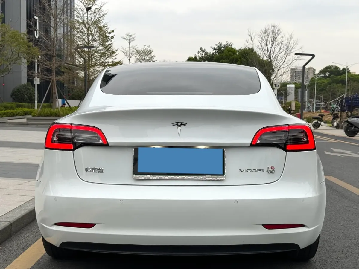 2021 Tesla Model 3 BEV 55KWH,autocango,china used car exporter,china ev exporter,chinese used car exporter,chinese used ev exporter