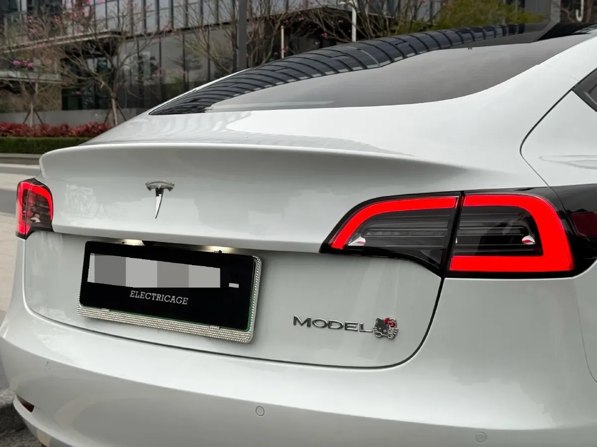2021 Tesla Model 3 BEV 55KWH,autocango,china used car exporter,china ev exporter,chinese used car exporter,chinese used ev exporter