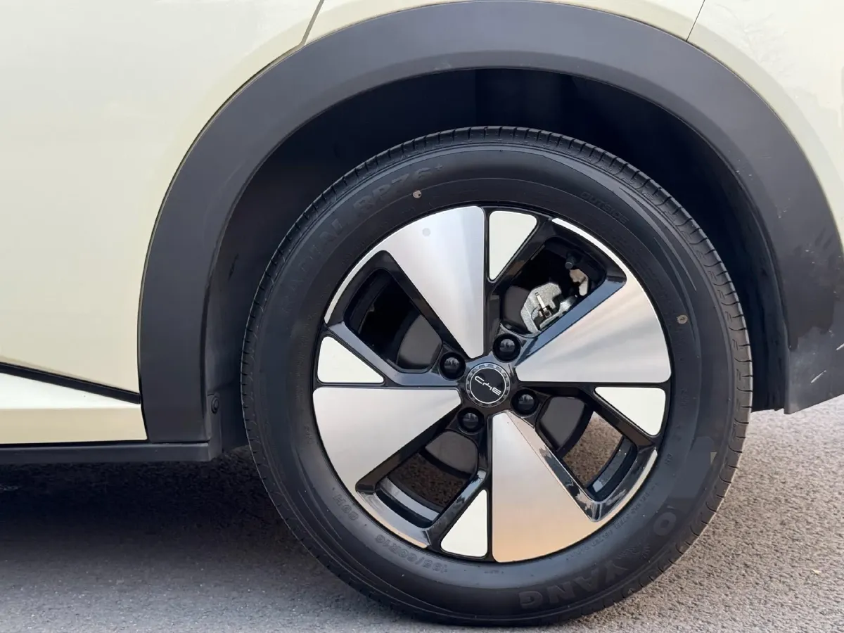 2023 BYD Dolphin BEV 44.928KWH,autocango,china used car exporter,china ev exporter,chinese used car exporter,chinese used ev exporter