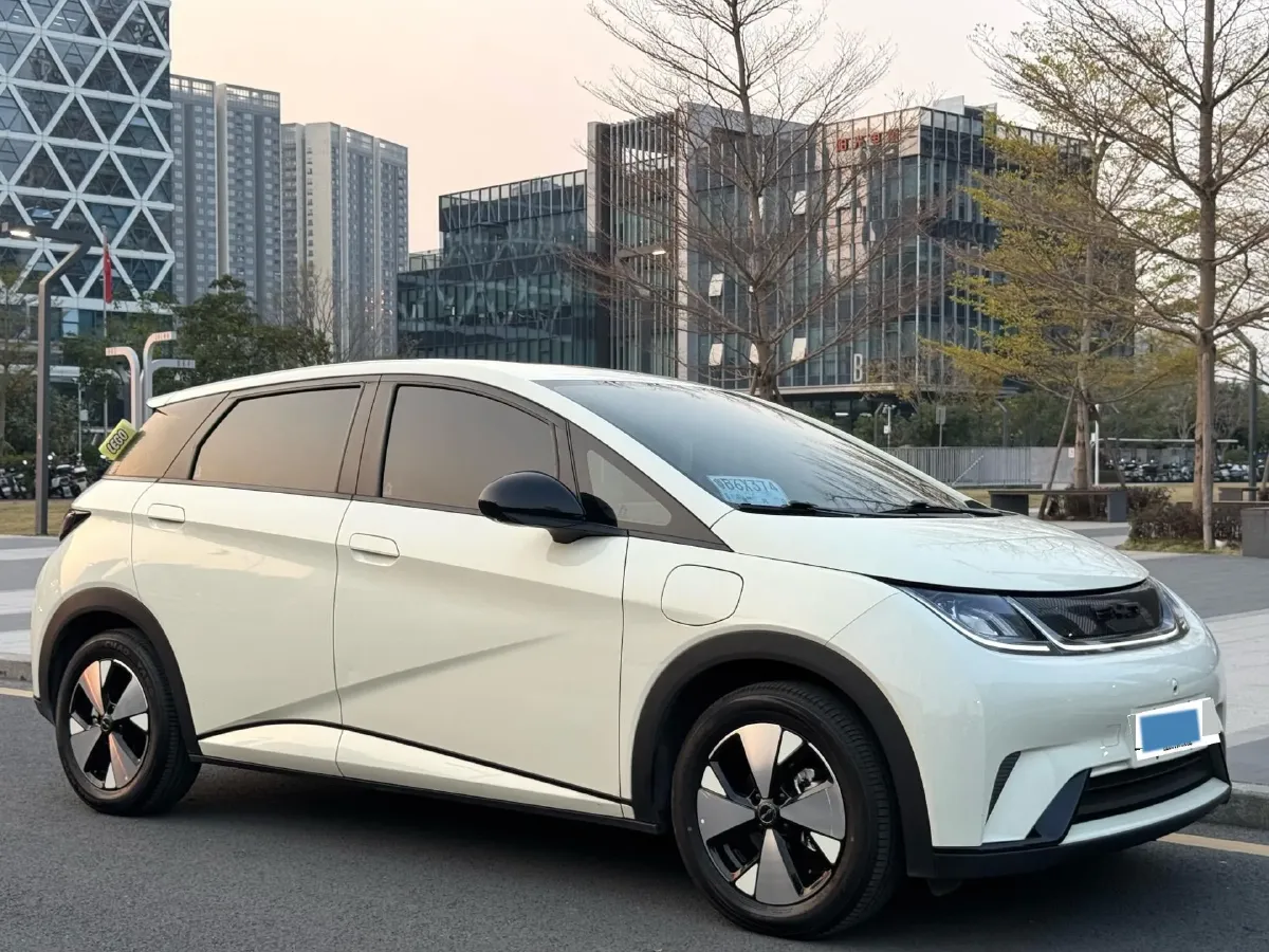 2023 BYD Dolphin BEV 44.928KWH,autocango,china used car exporter,china ev exporter,chinese used car exporter,chinese used ev exporter