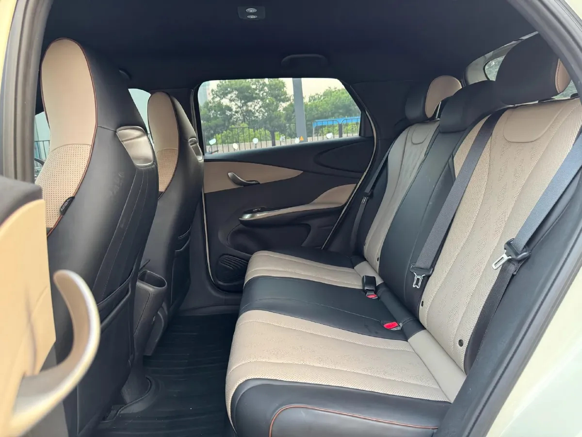 2023 BYD Dolphin BEV 44.928KWH,autocango,china used car exporter,china ev exporter,chinese used car exporter,chinese used ev exporter