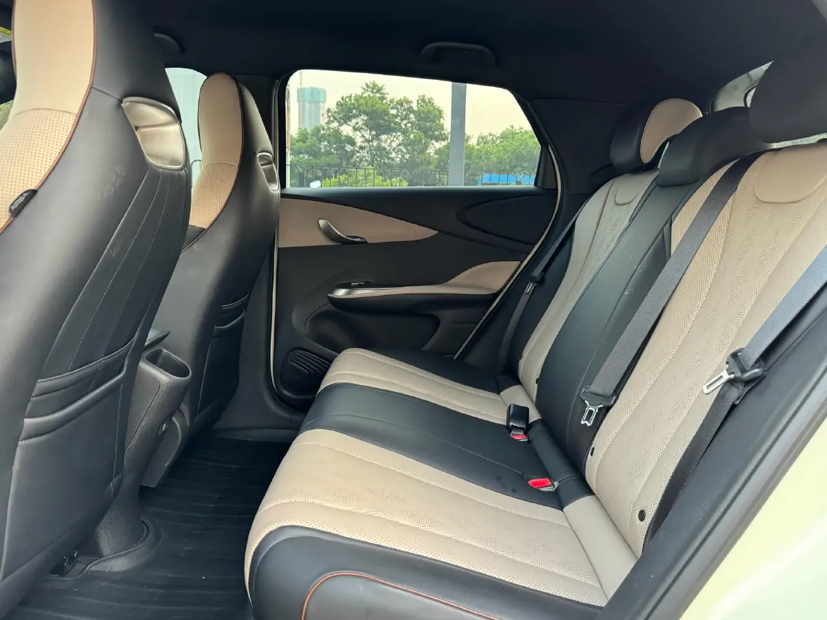 2023 BYD Dolphin BEV 44.928KWH,autocango,china used car exporter,china ev exporter,chinese used car exporter,chinese used ev exporter