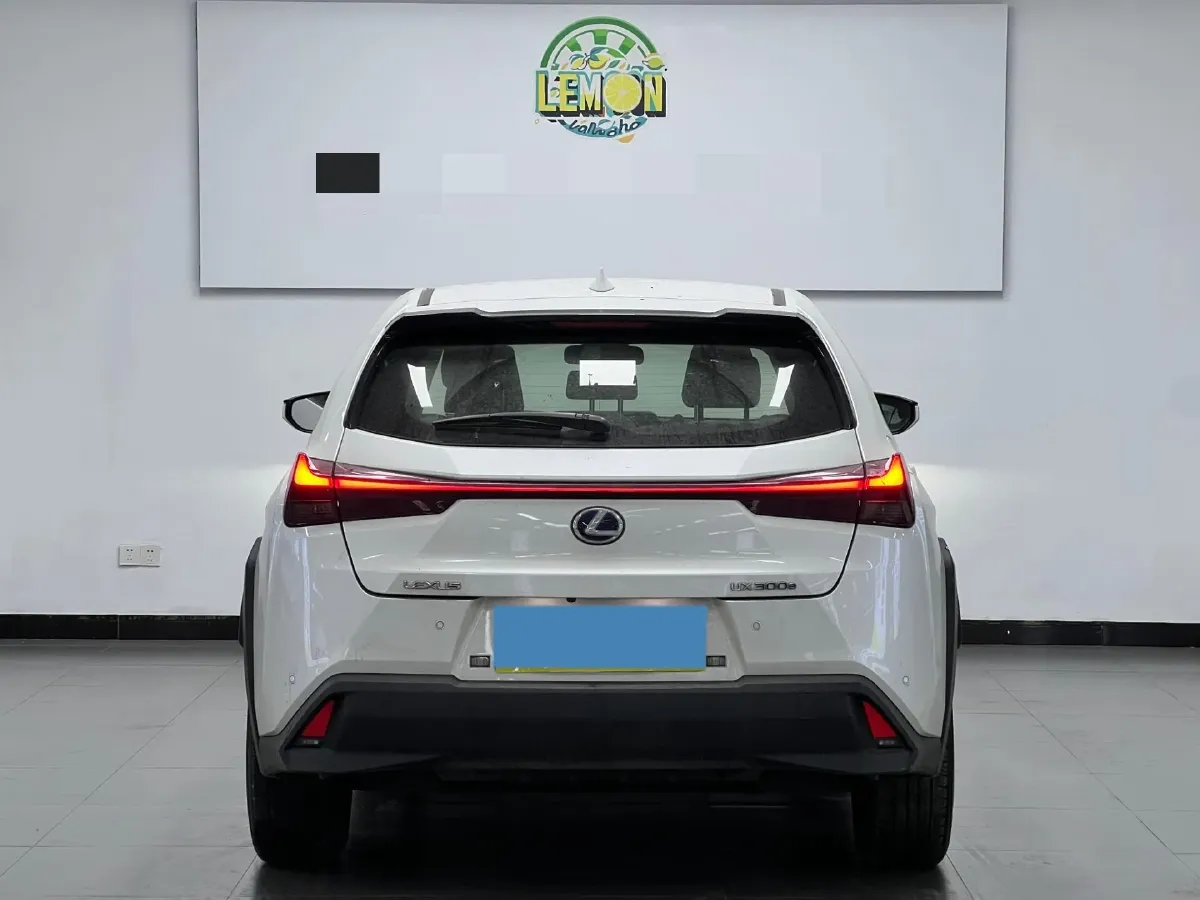 2020 Lexus UX BEV 54.35KWH,autocango,china used car exporter,china ev exporter,chinese used car exporter,chinese used ev exporter