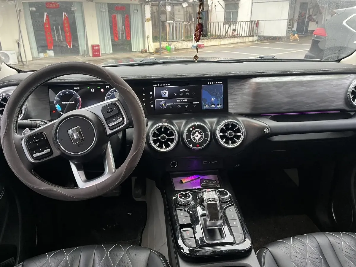 2021 Tank 300 2.0T 227HP L4 8AT,autocango,china used car exporter,china ev exporter,chinese used car exporter,chinese used ev exporter